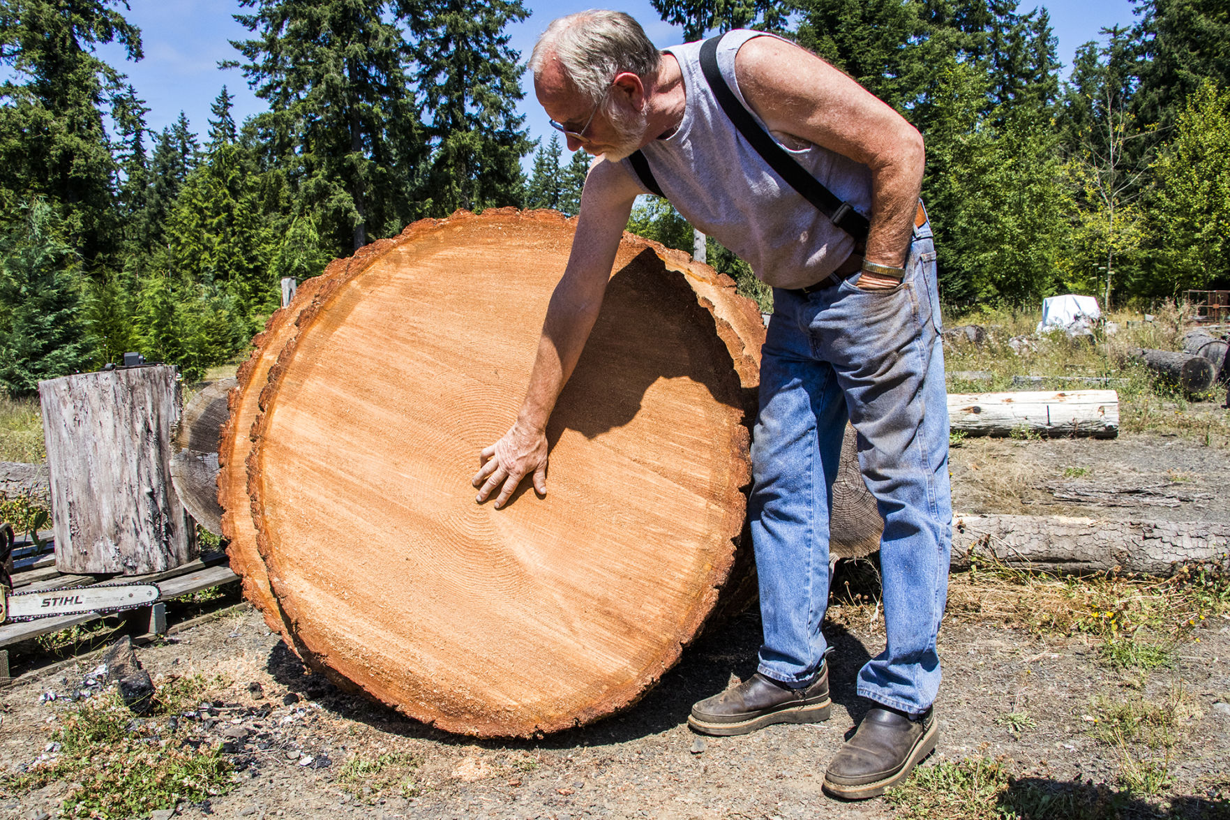 Historic Tree